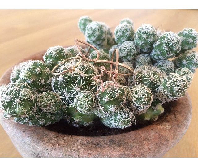 I think our pieces are warming up to the new office #cacti . #Saving #Water #AlexisJewelry #MadeinLA #Rosegold #Diamonds